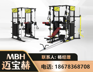 沧州多功能综合训练器