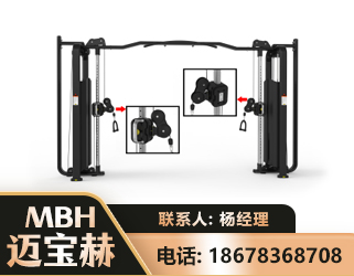 沧州大飞鸟训练器