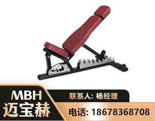 沧州可调哑铃椅