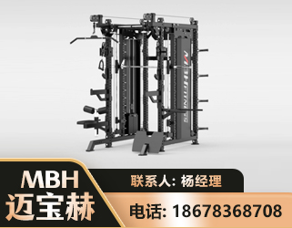 沧州三合一综合训练架